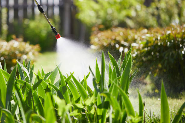 Tamper-Resistant Bait Stations for Rodents in Lochbuie
