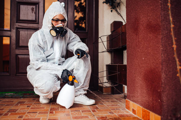 Attic and Crawl Space Rodent Treatment in Lochbuie